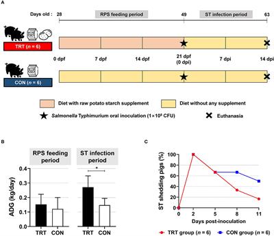 Raw potato starch diet supplement in weaned pigs could reduce Salmonella Typhimurium infection by altering microbiome composition and improving immune status